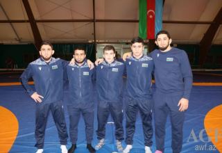 Азербайджанский борец стал чемпионом Европы, еще трое членов сборной завоевали "серебро"