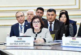 Azerbaijani Parliament speaker responds to allegations of Armenia