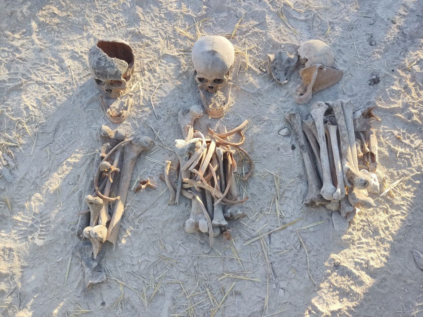 Remains found in Azerbaijan's Farrukh village - new proof of Armenian atrocities, military expert says