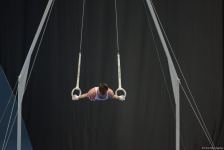 Azerbaijani gymnast wins bronze medal for ring exercises at FIG World Cup  (PHOTO)