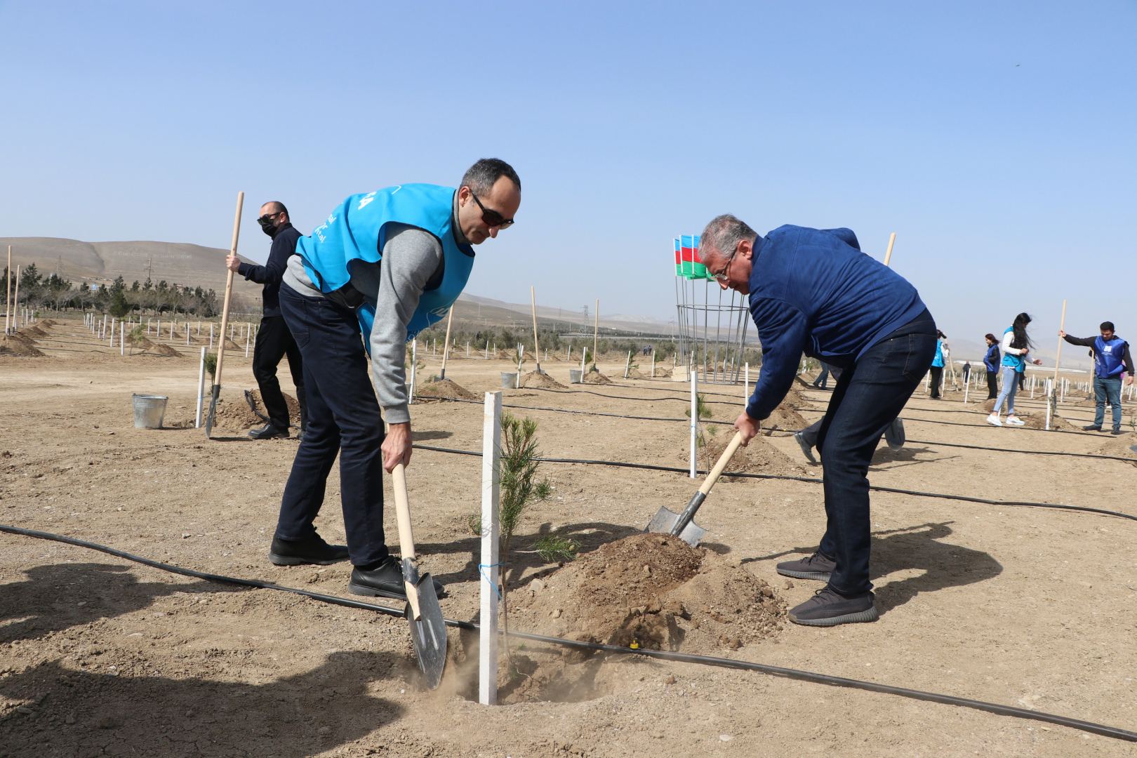 В Азербайджане стартовала кампания по посадке деревьев «Зеленый марафон 2022» (ФОТО)