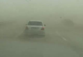 Из-за сильного ветра в Гобустане наблюдается пыльный туман (ВИДЕО)