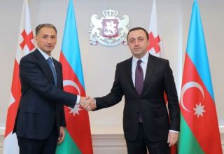 Azerbaijani Minister of Digital Dev't and Transport talks co-op with Georgian PM