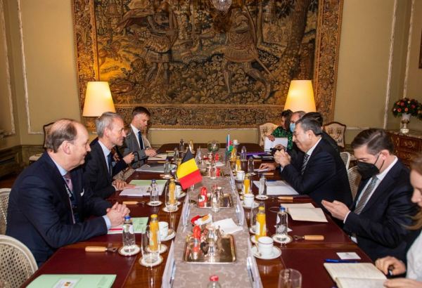 В Брюсселе состоялись политконсультации между Азербайджаном и Бельгией (ФОТО)