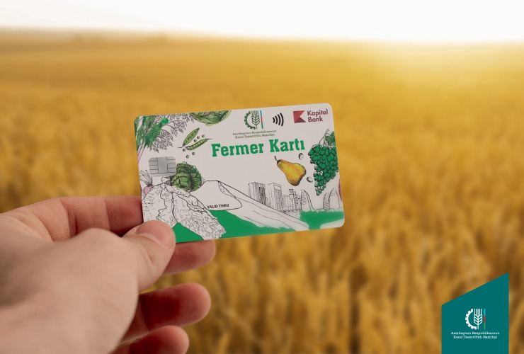 В Азербайджане фермерам выплачены субсидии на осенние посевы