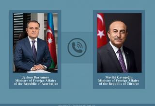 Главы МИД Азербайджана и Турции обсудили Брюссельскую встречу