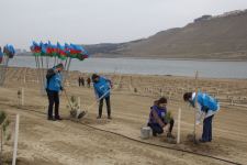 В Азербайджане прошла очередная акция в рамках кампании по посадке деревьев «Зеленый марафон 2022» (ФОТО)