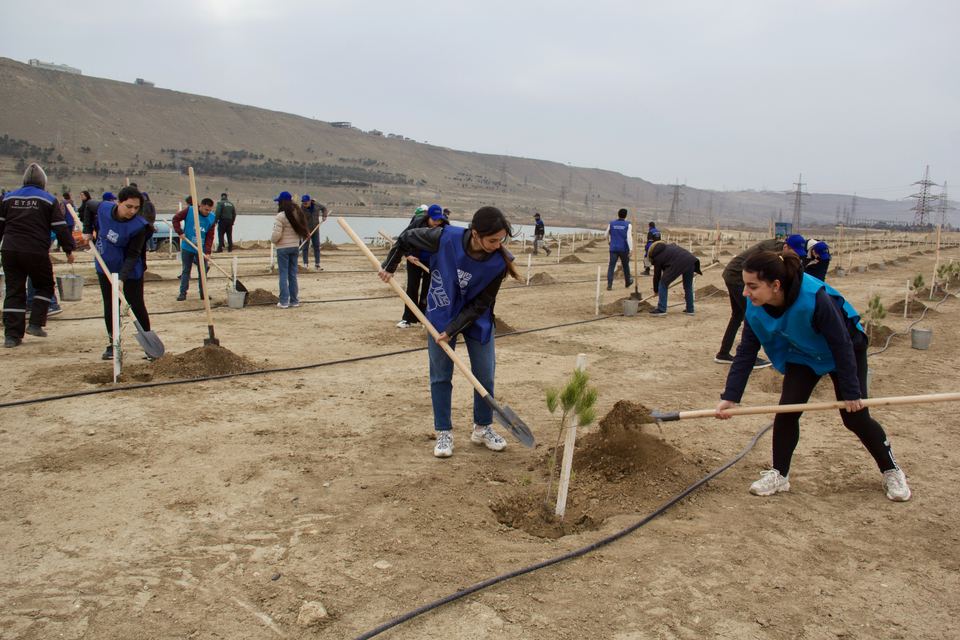 В Азербайджане прошла очередная акция в рамках кампании по посадке деревьев «Зеленый марафон 2022» (ФОТО)