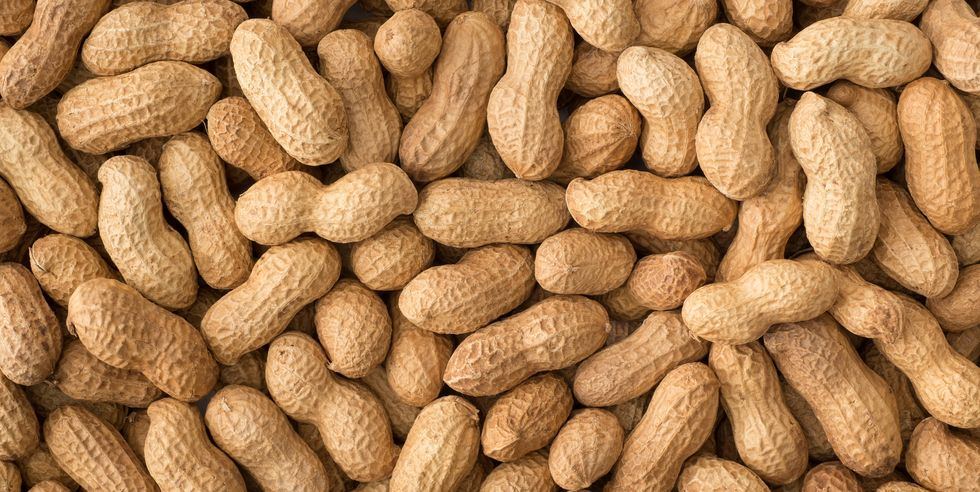 Uzbekistan discloses volume of peanut exported in 2M2023