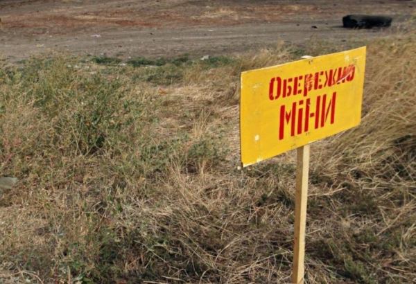 Kiyev vilayətində son sutka ərzində mindən çox partlayıcı zərərsizləşdirilib