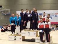Azerbaijani gymnasts win seven medals at international tournament in Czech Republic (PHOTO)