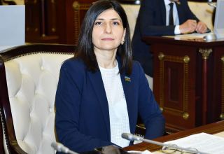 Азербайджанский депутат Севиль Микаилова дала интервью телеканалу TRT World в связи с провокациями Армении (ВИДЕО)
