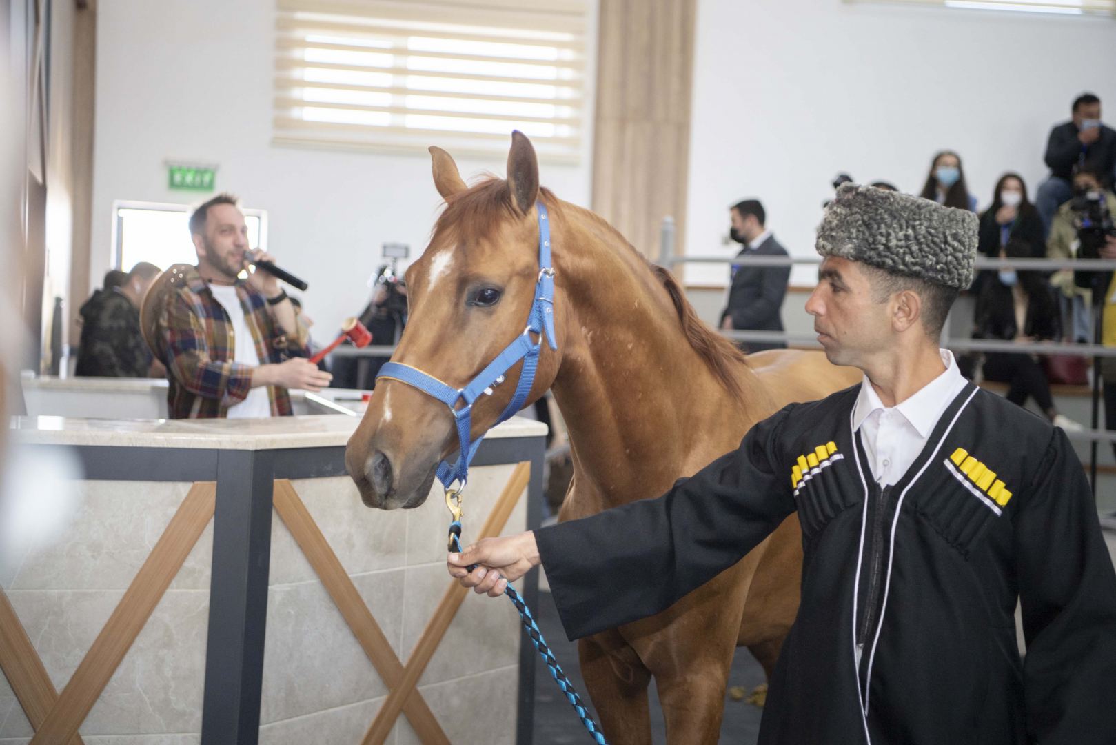 Qarabağ atları hərracda satıldı (FOTO)
