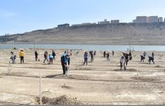 В Ходжасане прошла очередная акция в рамках кампании «Зеленый марафон» (ФОТО)