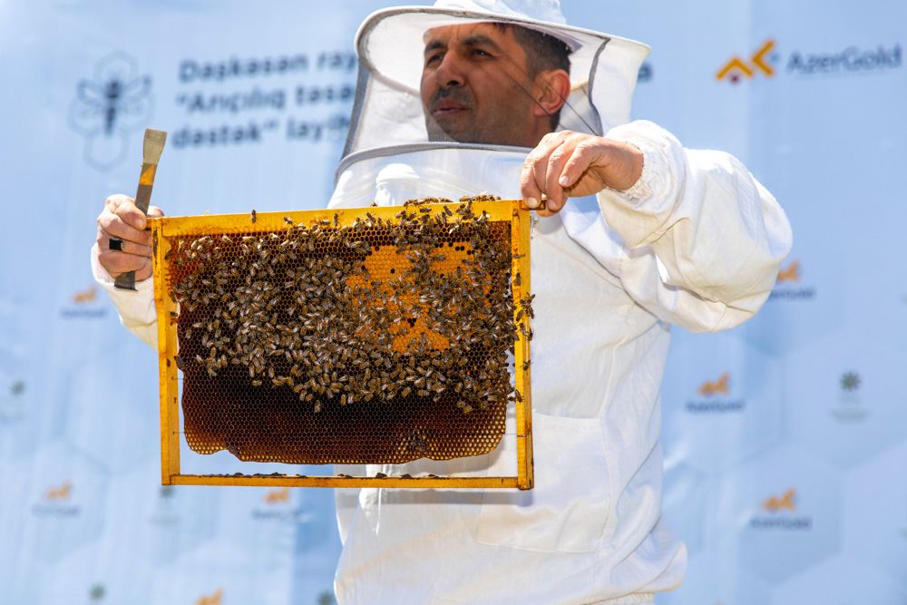 В Дашкесане прошли тренинги для фермеров-пчеловодов (ФОТО)