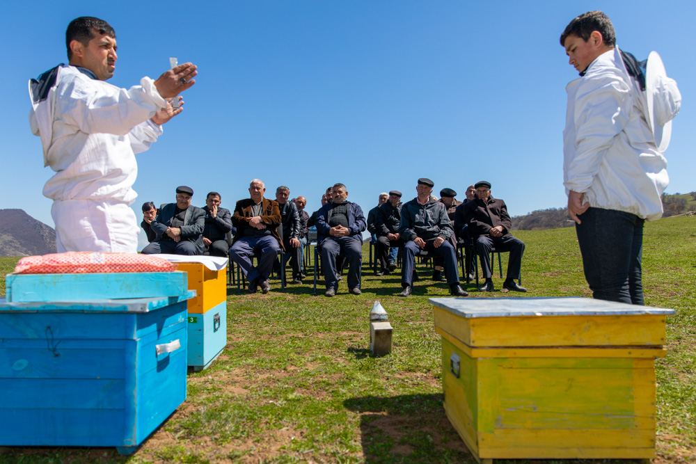 В Дашкесане прошли тренинги для фермеров-пчеловодов (ФОТО)