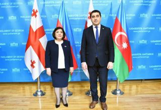 Speaker of Azerbaijani Parliament meets with Chairman of Georgian Parliament