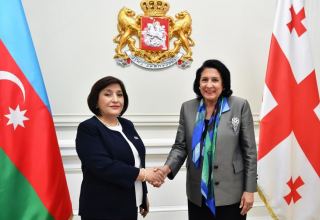 Sahibə Qafarova Gürcüstan Prezidenti Salome Zurabişvili ilə görüşüb