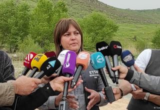 Уровень загрязнения рек в Карабахе будет отслеживаться в режиме онлайн - Умайра Тагиева