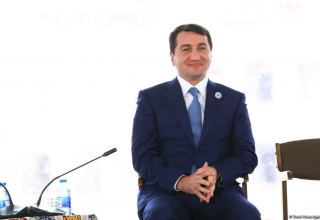 If Armenia wants to look into future, it must sign peace treaty - Azerbaijani president's assistant