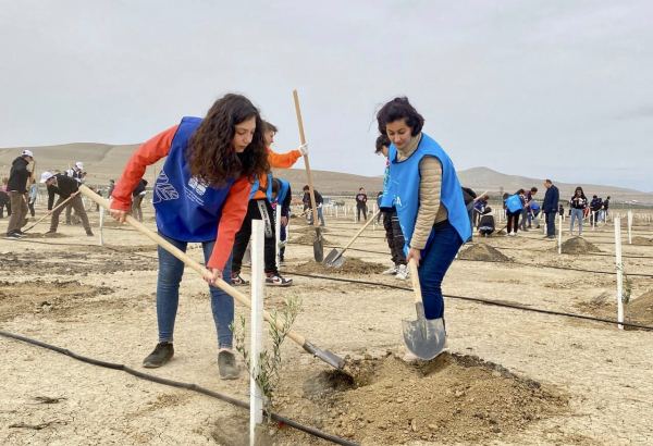 В Азербайджане в рамках кампании по посадке деревьев «Зеленый марафон 2022» проведена очередная акция