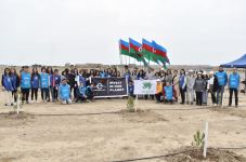 В Азербайджане в рамках кампании по посадке деревьев «Зеленый марафон 2022» проведена очередная акция