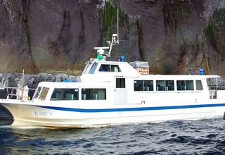 На севере Японии в районе исчезновения круизного судна нашли девять человек