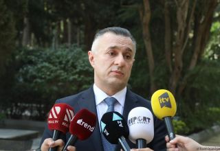 COVID-19 situation in Azerbaijan under control - minister