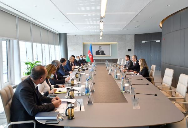 Состоялись обсуждения по сотрудничеству между Азербайджаном и ОЭСР (ФОТО)