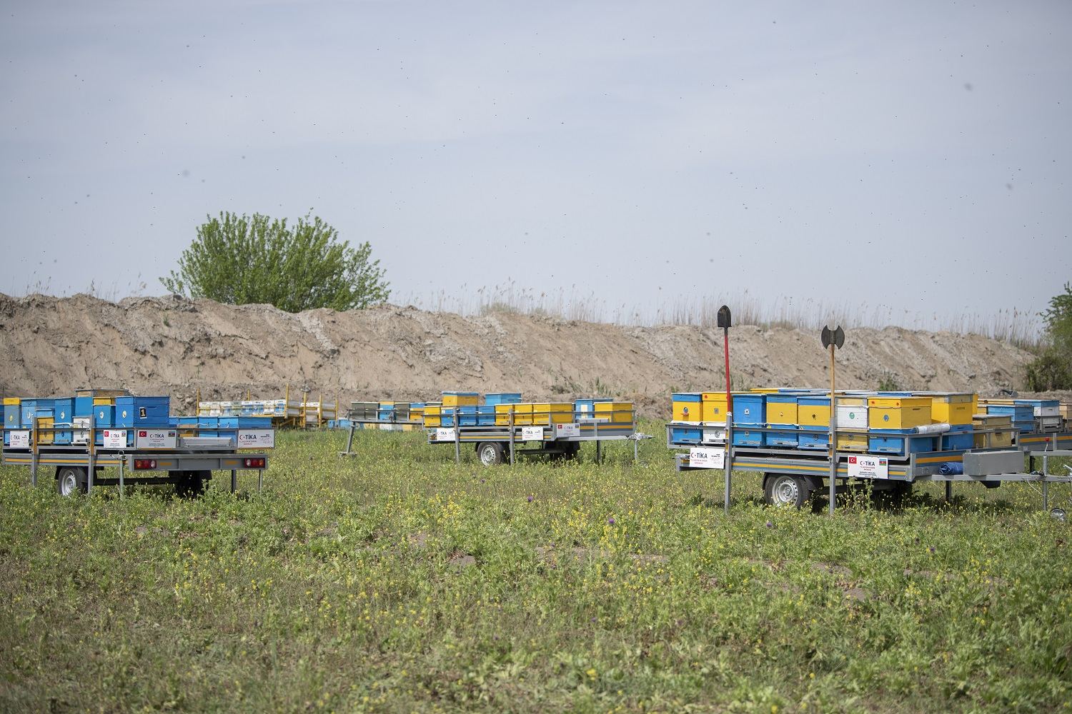 Arıçılıq təsərrüfatlarının Qubadlı yaylaqlarına köçünə start verildi (FOTO)