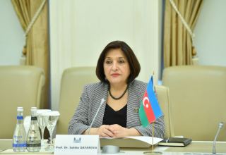 Азербайджан считает ОЭС важной региональной организацией - Сахиба Гафарова