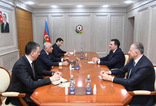 Премьер-министр Азербайджана встретился с главой МИД Грузии