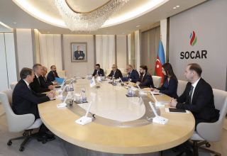 SOCAR, Uniper discuss expanding cooperation (PHOTO)