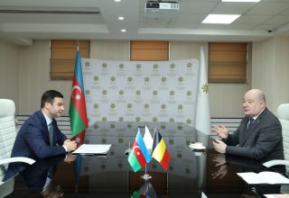Азербайджан и Бельгия обсудили потенциальные направления сотрудничества в сфере МСБ