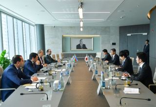 Azerbaijani minister, Japanese vice minister for foreign affairs talk over economic co-op (PHOTO)
