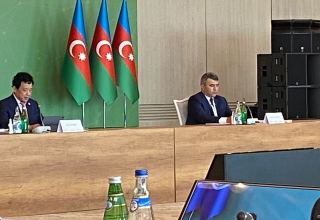 Азербайджан эффективно сотрудничает с FAO по ряду стратегий и программ реагирования на новые вызовы - министр