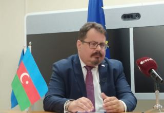 Europe wants more Azerbaijani products on its market - ambassador Michalko