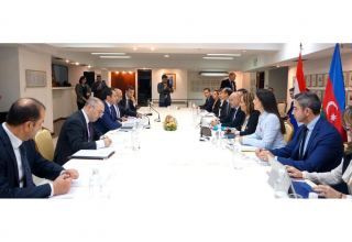 Azerbaijan, Paraguay exchange views on bilateral partnership (PHOTO)
