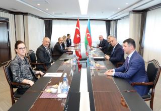 Состоялась встреча между главой СГБ Азербайджана и генсеком Совета национальной безопасности Турции (ФОТО)