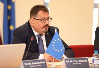 EU supports reforms on reintegration of disabled people in Azerbaijan - official