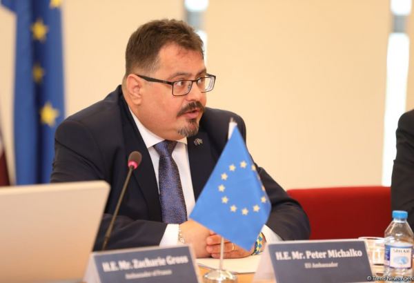 EU supports reforms on reintegration of disabled people in Azerbaijan - official