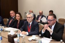 Azerbaijan, Austria discuss issues of organizing meeting of commission on co-op and business forum (PHOTO)