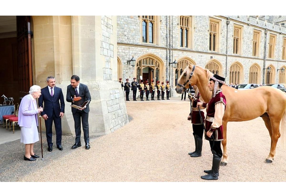 Британской королеве Елизавете II преподнесен подарок Президента Ильхама Алиева - карабахский скакун (ФОТО/ВИДЕО)