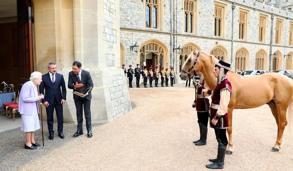 Британской королеве Елизавете II преподнесен подарок Президента Ильхама Алиева - карабахский скакун (ФОТО/ВИДЕО)