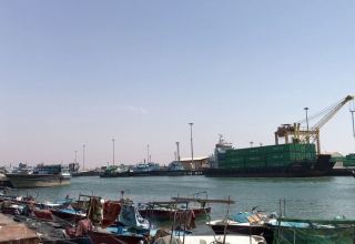 Volume of cargo loaded/unloaded at Iran’s Genaveh port increases