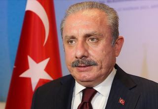 Important to solve regional problems at local level - Turkish Parliament speaker
