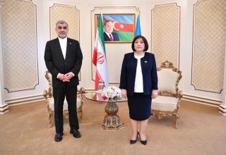 Sahibə Qafarova İran parlamenti sədrinin müavini ilə görüşüb