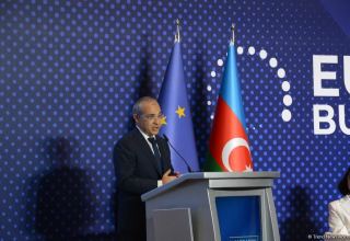 Zangazur corridor offers new transport opportunities for all countries of region – Azerbaijani minister