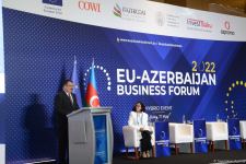 Number of EU companies wishing to invest in Azerbaijan’s Karabakh growing (PHOTO)