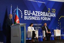 Number of EU companies wishing to invest in Azerbaijan’s Karabakh growing (PHOTO)